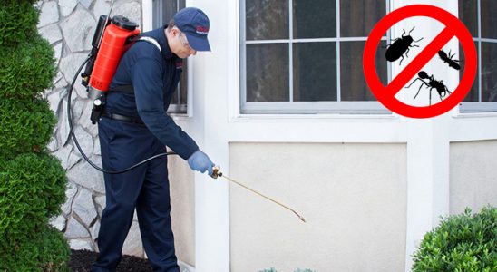 Buca Dezenfeksiyon böcek ilaçlama ve haşere kontrolü — ilaclama-tr.com
